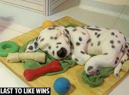 zu viele verbindungen welpen kuchen kuchen fur hunde hunde torte