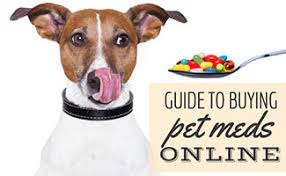 Here at northwestpharmacy.com, we believe your pets should not be excluded from access to affordable medications. How To Keep Fido Safe When Buying Pet Medications Online Caninejournal Com
