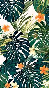 Aesthetic Wallpapers Tropical 2842755 Hd Wallpaper Backgrounds Download Tropical aesthetic wallpapers top free tropical aesthetic 10000 best iphone wallpapers free hd download 1000. aesthetic wallpapers tropical 2842755