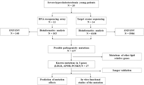 The Flow Chart Of Mutations Screening Download Scientific