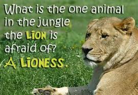 We did not find results for: Lioness Women Quotes Quotations Sayings 2021