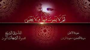 طرب ربب طقعي النم أوزبر : Ø§Ù„Ø´Ø­Ø§Øª Ø§Ù†ÙˆØ± Ø³ÙˆØ±Ø© Ø§Ù„Ù†Ù…Ù„
