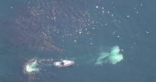 The crash of twa flight 800 is the third deadliest aviation accident in us history. Twa Flight 800 Disaster A Look Back Cbs News