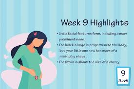 How big was your belly at 9 weeks pregnant? Pregnancy Week 9