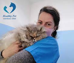 First pet veterinary clinic abed al raheem al hajj mohammad، amman, jordan coordinate: Healthy Pet Veterinary Clinic Amman Home Facebook