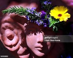 38 Gka Stock Photos, High-Res Pictures, and Images