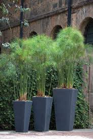 Leisure Creations Products Potted Plants Outdoor Tall Outdoor Planters Modern Planters Outdoor