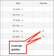 If one thing in a situation overrides other things, it is more important than them. Override The Final Course Grade In Canvas