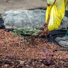 Check in here for the premier products and services that will set your home apart. Exterior Maintenance Facilities Management Spruce