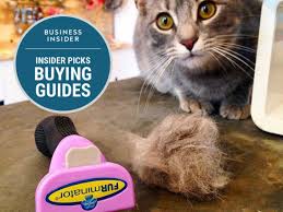 The Best Cat Brushes Cool Cats Dog Snacks Cats