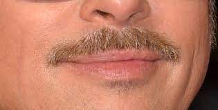 Challenge them to a trivia party! Can You Guess Which Celebrities These Mustaches Belong To