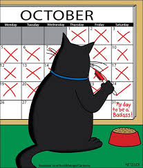 Let go of your negativity in life. What Dream About Black Cat Means