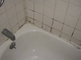 Check spelling or type a new query. How To Treat And Stop Mold And Mildew In The Bathroom