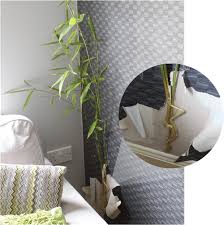 The best fertilizer for bamboo. Bamboo Removal Environet Uk