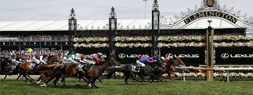 Answers to all these questions can be found in the nzhistory.net.nz melbourne cup topic. Melbourne Cup Trivia Trivia About The Great Race Melbourne Cup