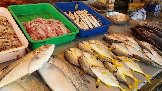 Aluthgama fish market dawn fishing boats auction west coast authentic Sri Lanka food market 6am 7am Bentota