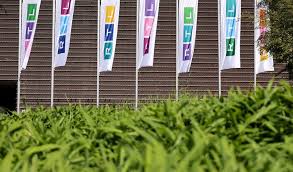 Maybe you would like to learn more about one of these? Rtl Sandra Kuhn Verlasst Explosiv Mopo
