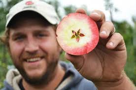 LynOaken, Chamber's Agricultural Business of the Year, continues to  diversify and make upgrades