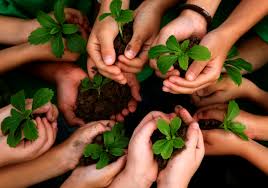 World environment day is the united nations' main vehicle for encouraging action and awareness in terms of protecting the environment. World Environment Day 3 Easy Ways To Connect With Nature Using Glass Friends Of Glassfriends Of Glass