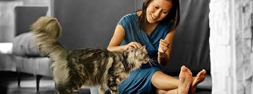 You can try to make your cat comfortable where you would like her to have her kittens (you may have a box or. What To Look Out For During Cat Pregnancy Labour Purina