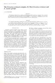 Image result for Eriosema cordatum