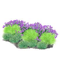 Täglich frisch von ihrem floristen. Prachtvolle Pflanzen Online Bestellen Dehner