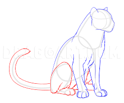 How To Draw Panthers Black Panthers Step By Step Drawing Guide By Makangeni Dragoart Com In 2020 Black Panther Guided Drawing Cartoon Styles