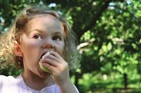 La sollicitation de dons par la poste : une pratique qui continue de  rapporter