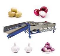 Commerical Avocado Onion Classifying Sorting Machine