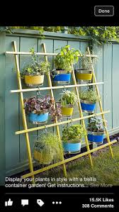 Lois Orchard (lois1108)