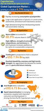Caprolactam Market Overview By Type Properties Production Industry Demand Revenue Growth Busi With Images Business Opportunities Pestel Analysis Engineering Plastics