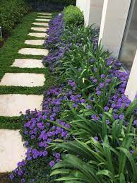 Agapanthus Verbena Front Garden Landscape Beautiful Gardens Small Garden