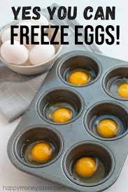 And a problem we did not realize we would ever have until just recently. Can You Freeze Eggs Yes Here Is How To Freeze Eggs