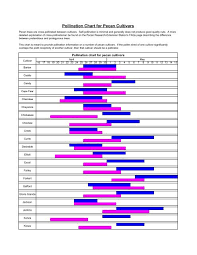 Check spelling or type a new query. Pollination Chart For Pecan Cultivars The Lsu Agcenter