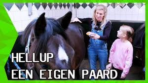 Britt dekker maakte onlangs bekend dat het slecht gaat met haar paard vito. Steigeren Met Paarden En Bijna In Mijn Arm Gebeten Worden Vlogmas 145 By Hoefwijzer