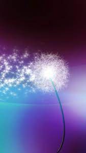 Make A Wish Iphone Background Dandelion Background Wallpaper Backgrounds