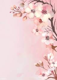 Download Premium Illustration Of Hand Drawn Cherry Blossoms On A Pink Bunga Sakura Kartu Bunga Bingkai Bunga