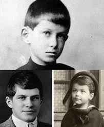 THE ALFRED WILLIAMS STORY** **ONE OF SWINDON'S LITERARY GIANTS.** I was  asked a few days ago why I always post about Richard Jefferies and not  Alfred Williams and the answer is simple