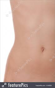 Vector illustration of thin healthy woman body with flat stomach in three different poses. Human Body Parts Toned Slender Female Stomach Or Abdomen Stock Image I4146555 At Featurepics