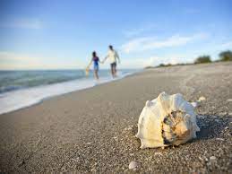 The best shelling is found on the beaches of sanibel island & captiva. The 12 Best Kid Friendly Things To Do On Sanibel Island