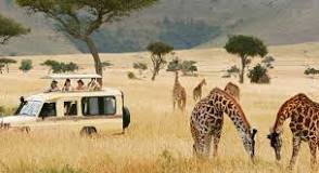 10 Best Private Game Reserves in South Africa