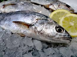 L'ombrina è un pesce d'acqua salata comune nel mar mediterraneo, nel mar nero e nell'oceano atlantico. Ombrina Bocca D Oro 24fish