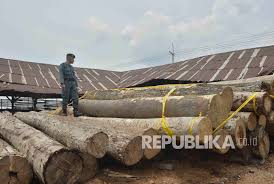 Jun 03, 2021 · dalam momen hari kelahiran pancasila 1 juni, pelepasliaran burung elang tidak hanya dilakukan di taman nasional gunung halimun salak (tnghs), jawa barat. Aher Usul Polhut Dibekali Senjata Antisipasi Perusak Hutan Republika Online