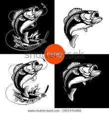 Check spelling or type a new query. Clip Art Fish Jumping Out Of Water Cool Clipart Fish Jumping Out Of Water Clipart Stunning Free Transparent Png Clipart Images Free Download