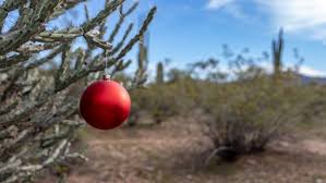 All cards made in the usa and printed on recycled paper. Desert Holiday Decor Tips For Creating A Holiday Wonderland In The Sunny Southwest
