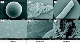 746 likes · 2 talking about this · 102 were here. Addition Of Granular Activated Carbon During Anaerobic Oleate Degradation Overcomes Inhibition And Promotes Methanogenic Activity Environmental Science Water Research Technology Rsc Publishing Doi 10 1039 D0ew01093f