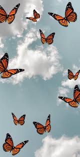 Butterfly In 2020 Butterfly Wallpaper Iphone Iphone Wallpaper Tumblr Aesthetic Butterfly Wallpaper