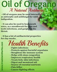 Pin On Herbs For Health