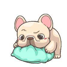 Check spelling or type a new query. Pin En Pig Dog