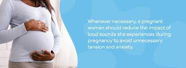 The Effects Of Sound On A Baby During Pregnancy Soundproof Cow